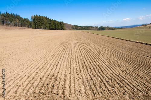 500_F_31267011_V9dgviebfRNRJUqkGpDxMFMSZxnyoTkA